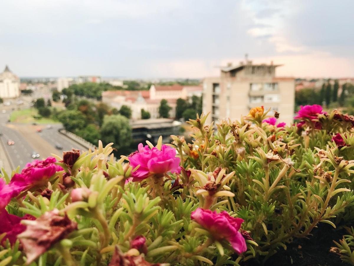 Over The City Oradea Exterior foto